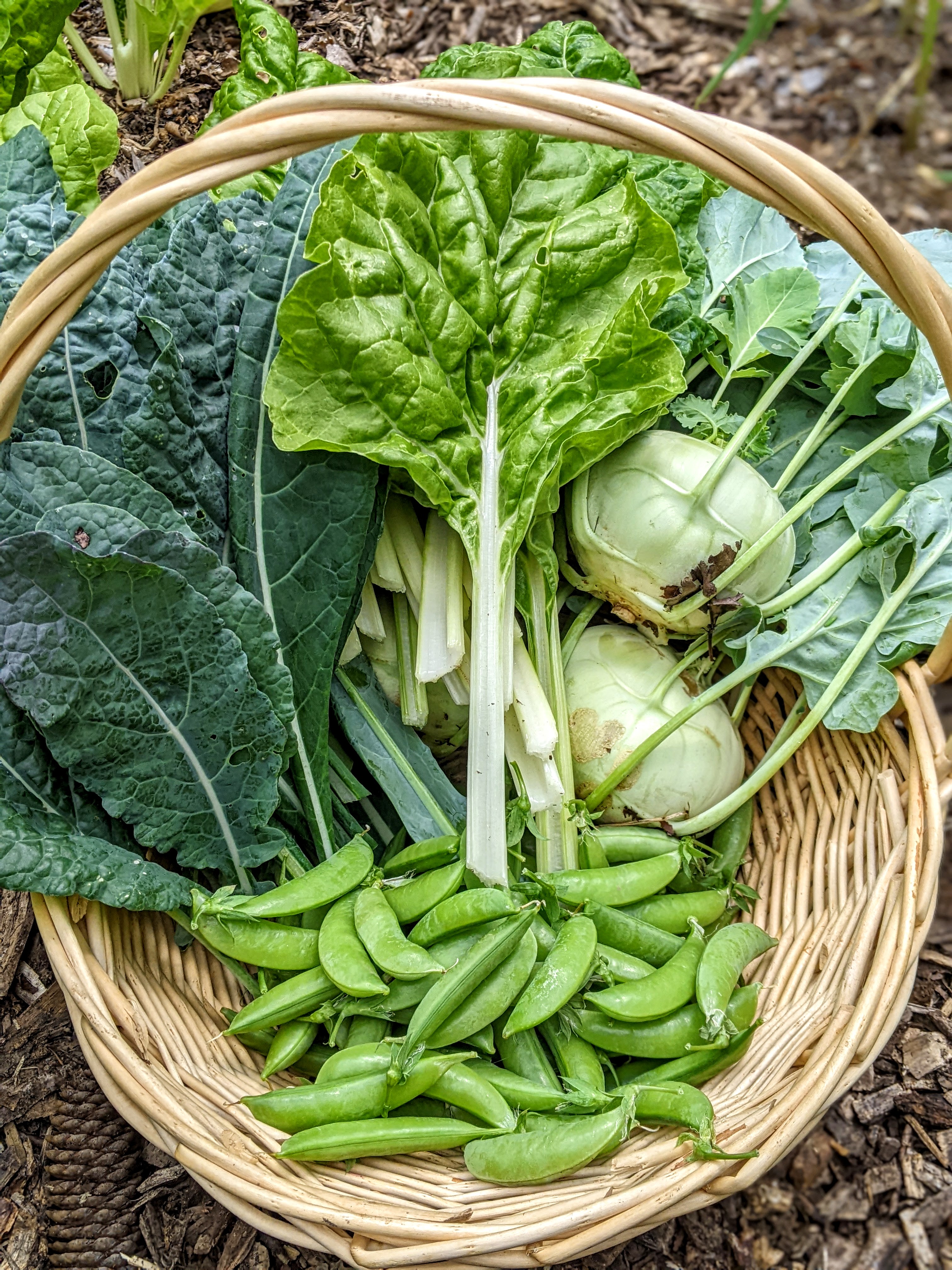 How to Grow Victoriously